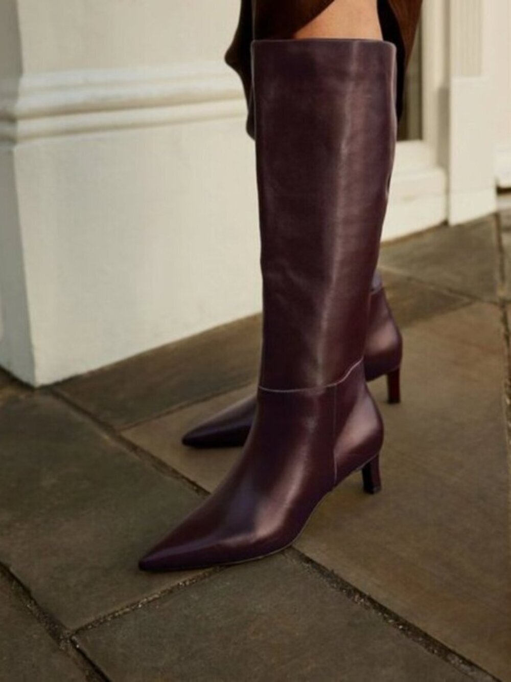 STEVE MADDEN Lingo Pointed Toe Knee High Boot in Wine Leather Size US 7.5